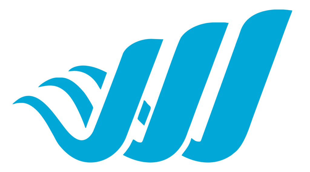 Wise logo icon