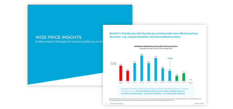 Wise pricing insights report example