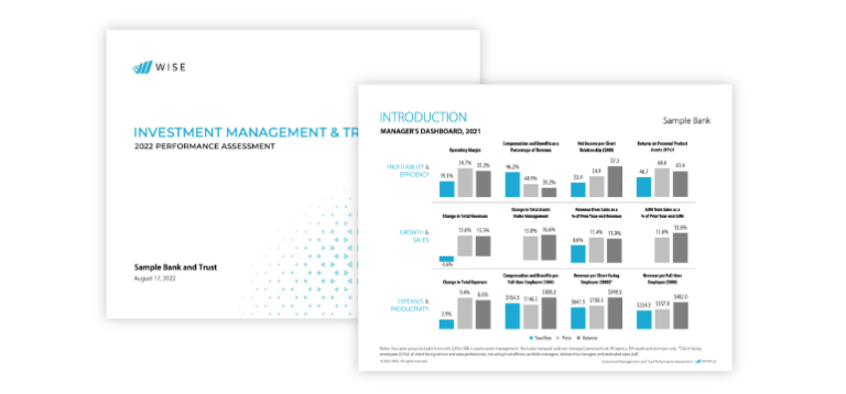 Wise Performance Assessment report example